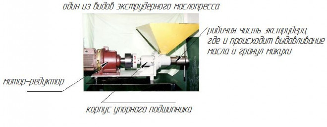 екструдерный маслопресс.jpg